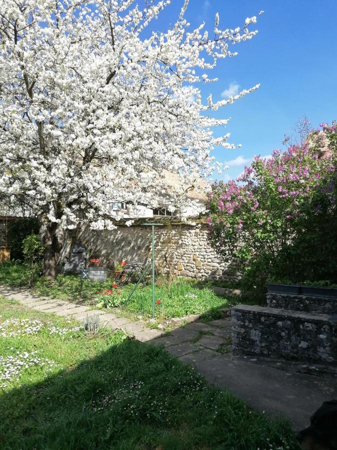 Chez Marylene Lägenhet Soisy-sur-Ecole Exteriör bild